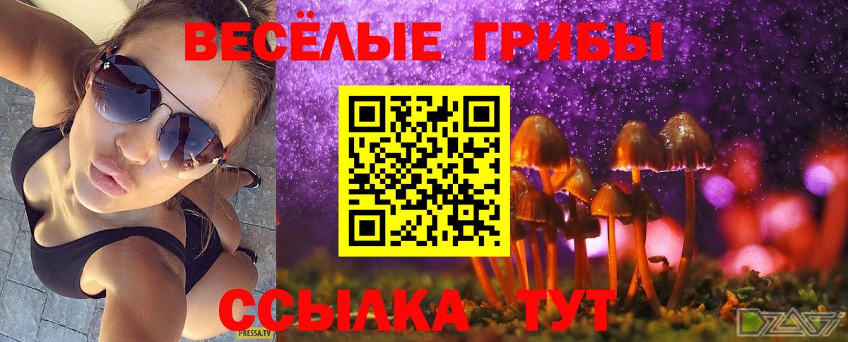 Галлюциногенные грибы Cubensis  Вход с VPN  Анапа  Галлюциногенные грибы мухоморы 