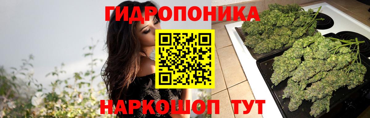 Марихуана план Анапа